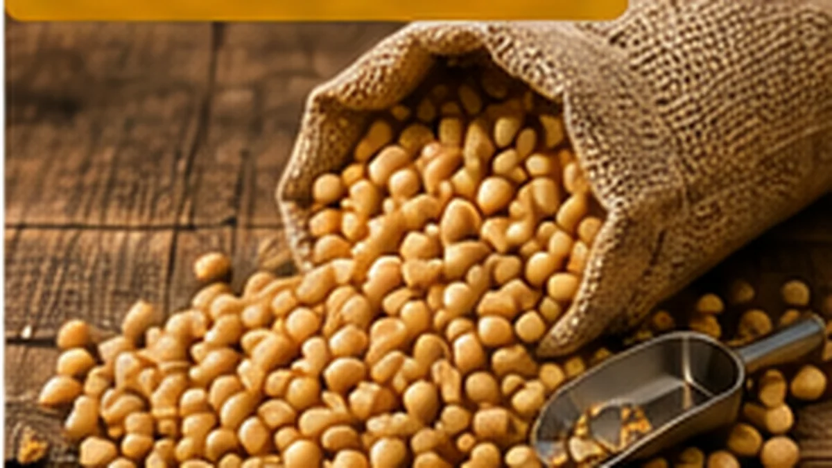 Soybeans Market Outlook 2026: Demand, Quality and Trade Trends