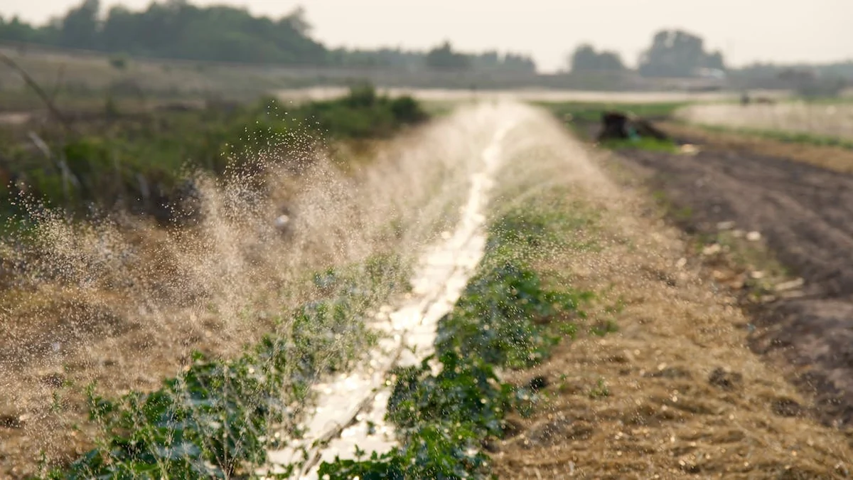 How Modern Farming Can Grow More Food Without Exhausting the Land