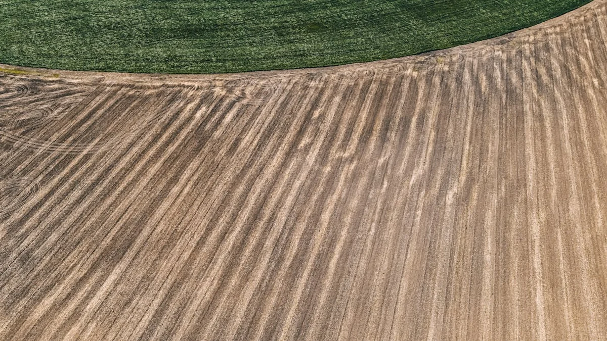 Sustainable Agriculture: Small Farming Habits That Protect Soil and Crops