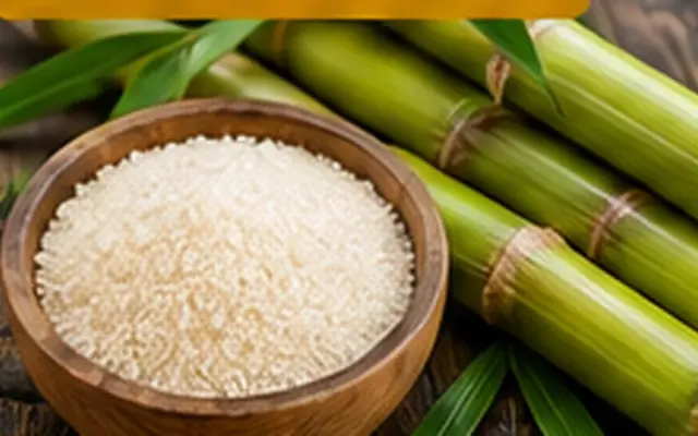 Sugar Market Update 2026: Production, Trade and Global Outlook