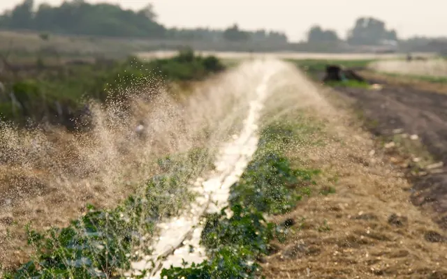How Modern Farming Can Grow More Food Without Exhausting the Land