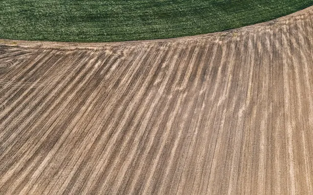 Sustainable Agriculture: Small Farming Habits That Protect Soil and Crops